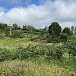 The Sidikalang