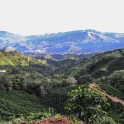Terroir1