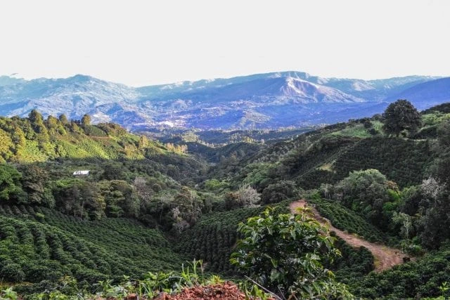 Terroir1