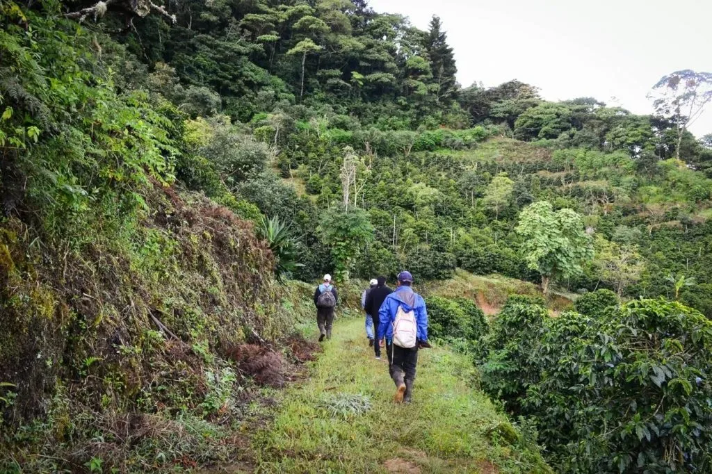 Terroir2