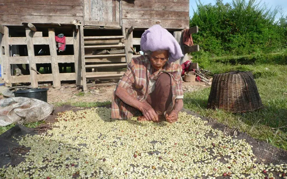 indonez no babvalogatas vulkan