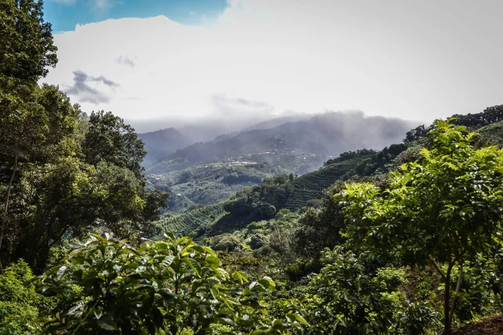 terroir4